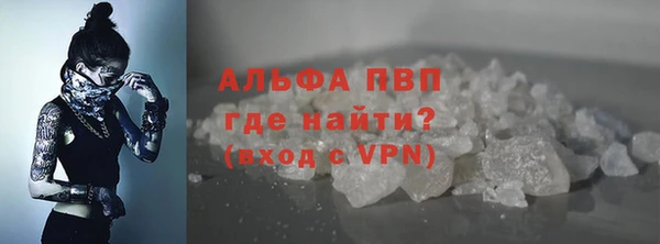 тгк Белокуриха