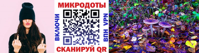 omg   Ялуторовск  Галлюциногенные грибы Psilocybine cubensis 