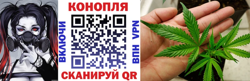 Бошки Шишки семена Ялуторовск