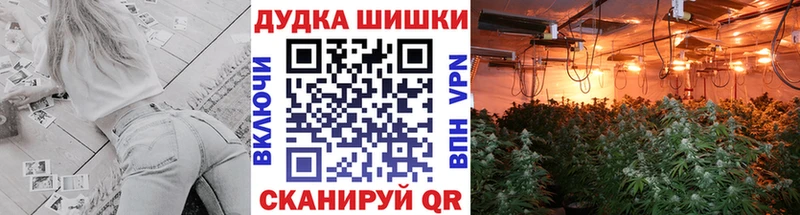 наркота  Ялуторовск  Бошки марихуана Ganja 